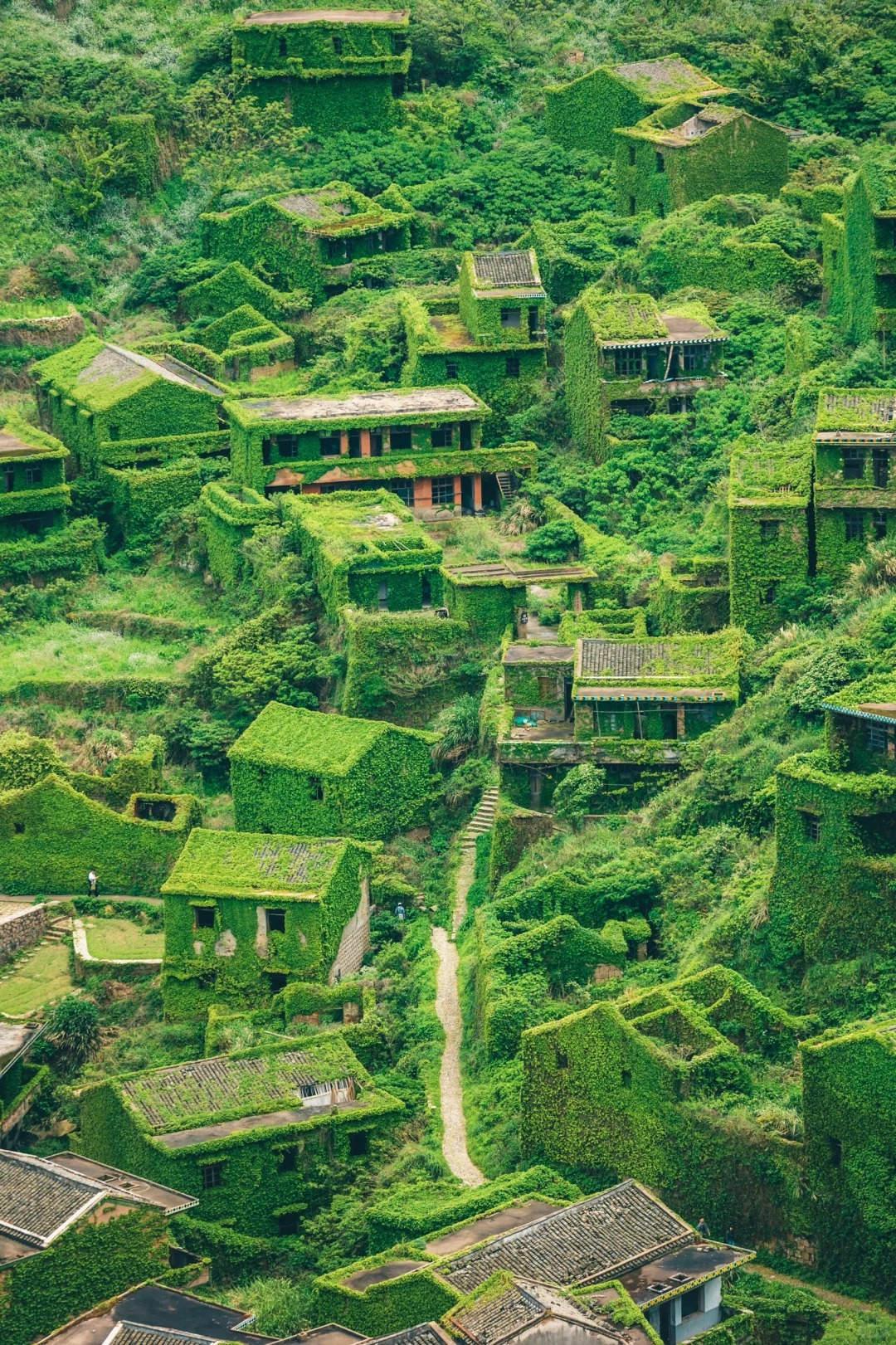 在浙江小岛上，我找到了遗失的“失落村庄”🍃
